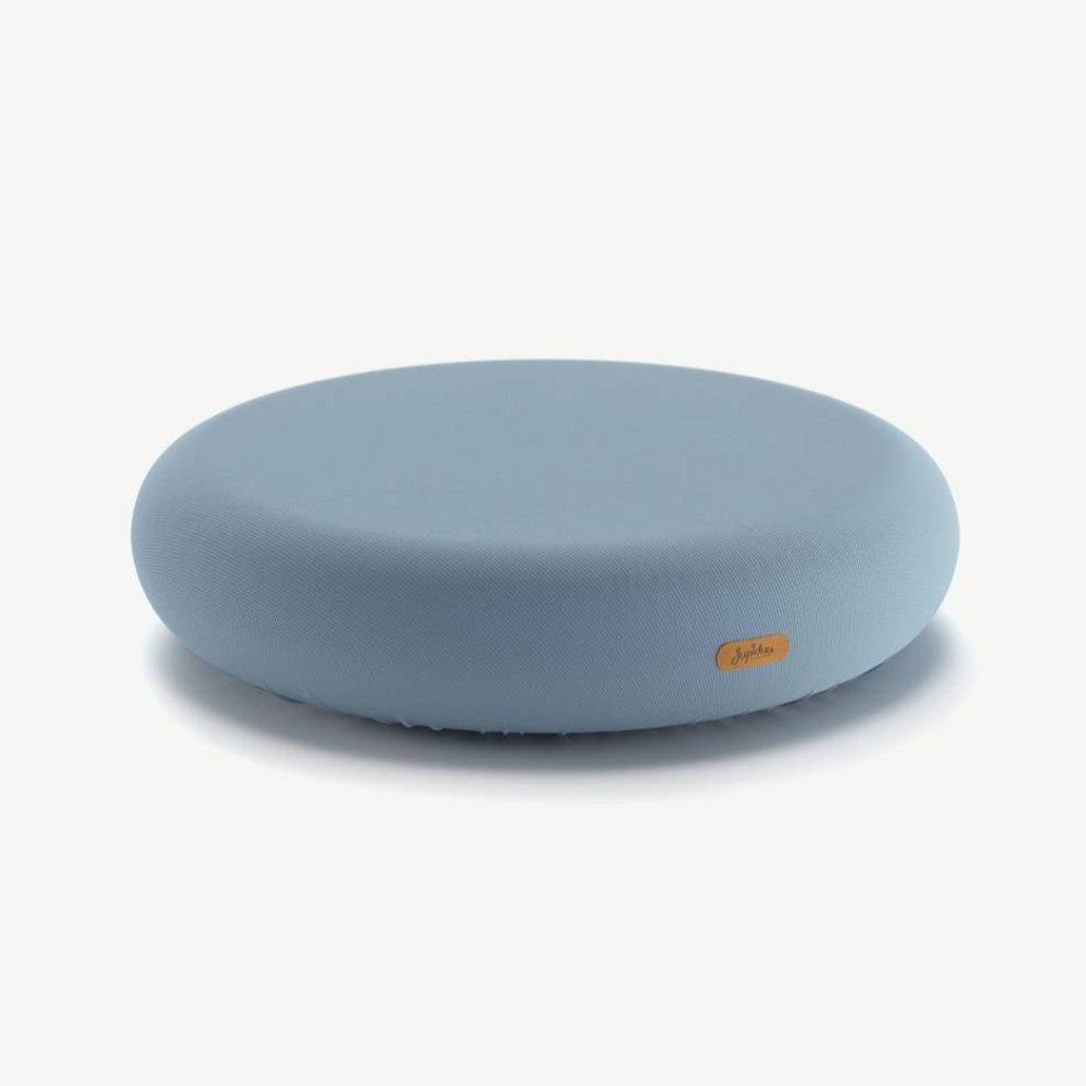 JUPIDUU Jumpspot Indoor Hüpfkissen Jupiduu