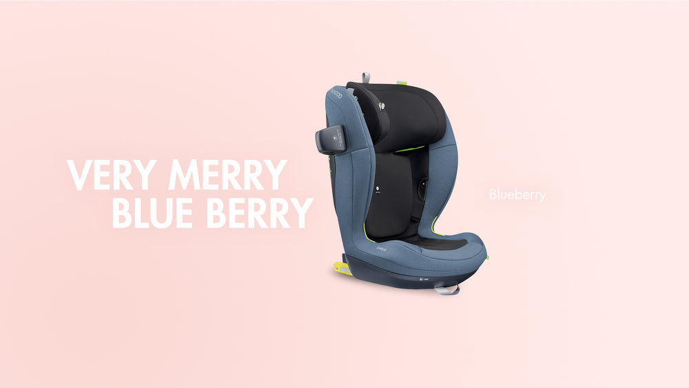 SWANDOO Charlie i-Size Booster-Kindersitz