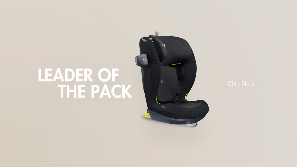 SWANDOO Charlie i-Size Booster-Kindersitz