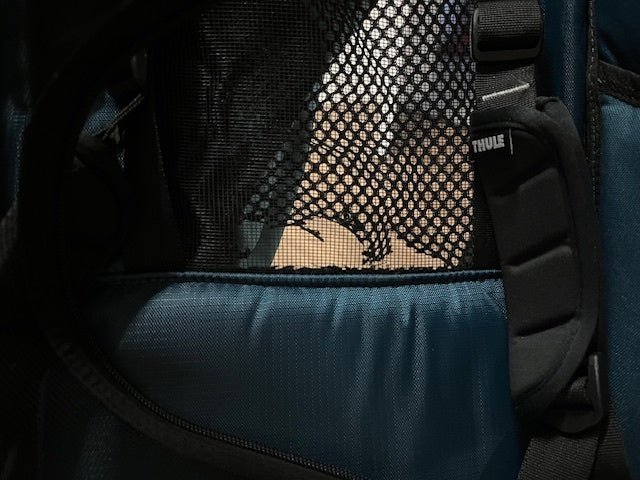 THULE Fahrradanhänger CHARIOT CROSS Zweisitzer