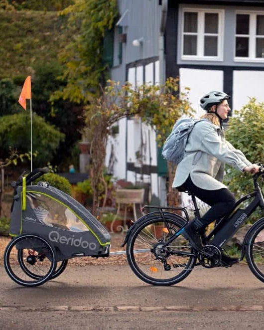 QERIDOO Fahrradanhänger QUPA 1