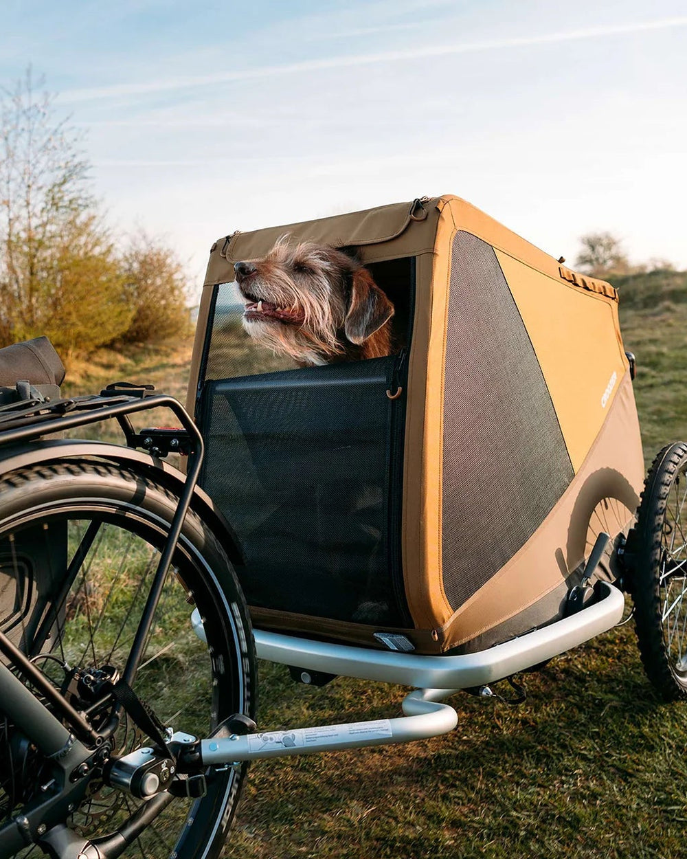 CROOZER Fahrradanhänger Dog Mikke