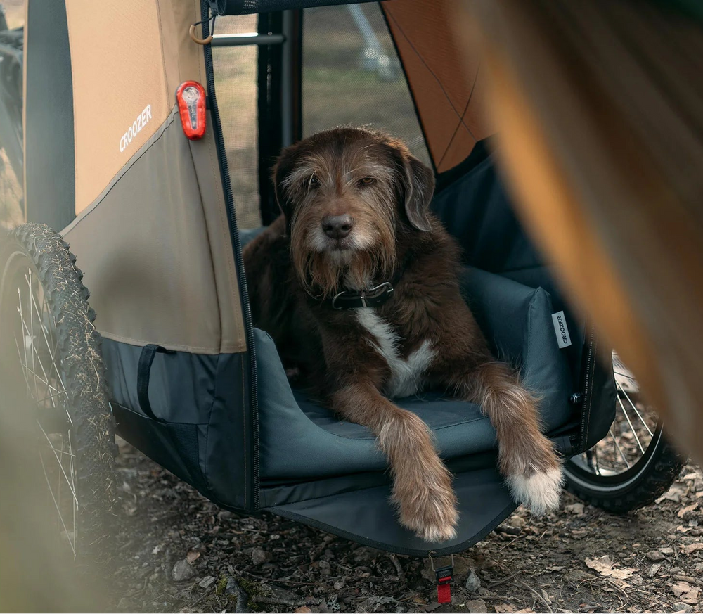 CROOZER Fahrradanhänger Dog Mikke