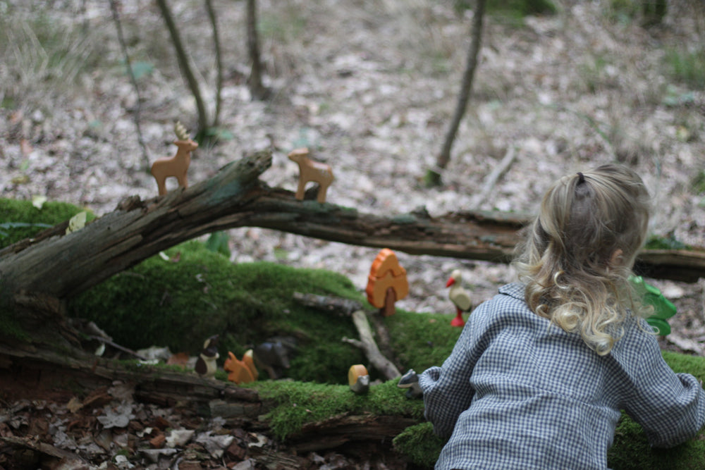 HOLZWALD Waldorfinspiriertes Spielset Wald und Wiese mit Holztieren und Spieltuch HolzWald