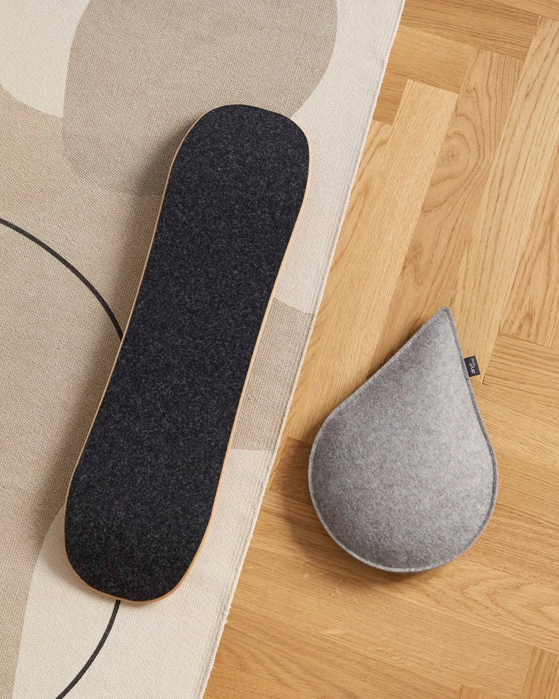 dryBoard Indoor Board