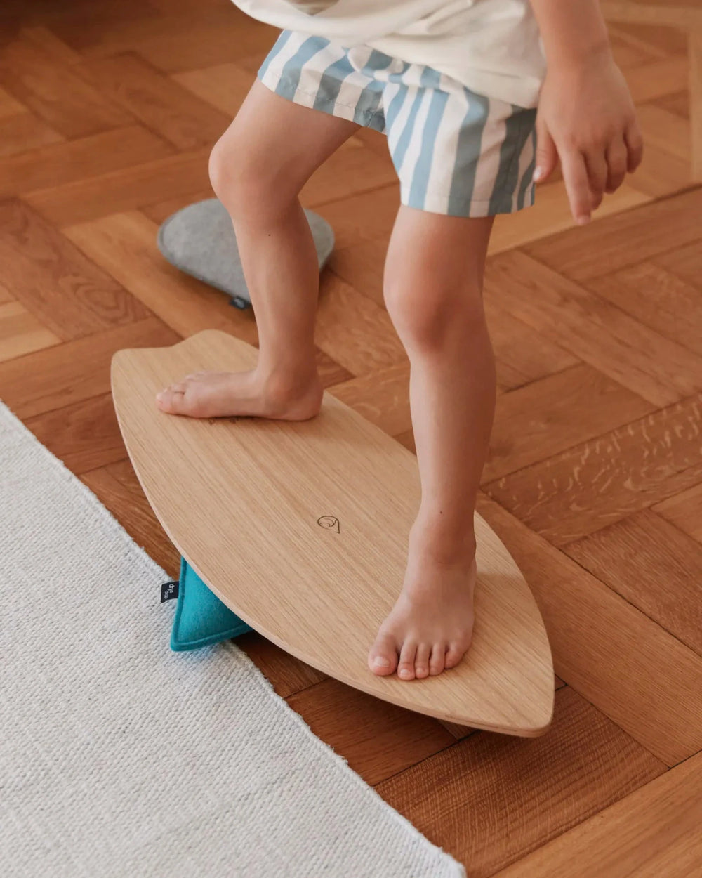 drySurf Indoor Surfboard