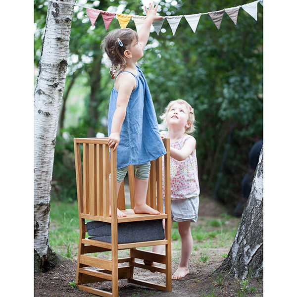 Zaunkönig Hochstuhl & Lernturm Zaunkönig