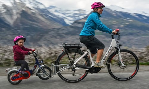 FollowMe Tandemkupplung günstig online kaufen