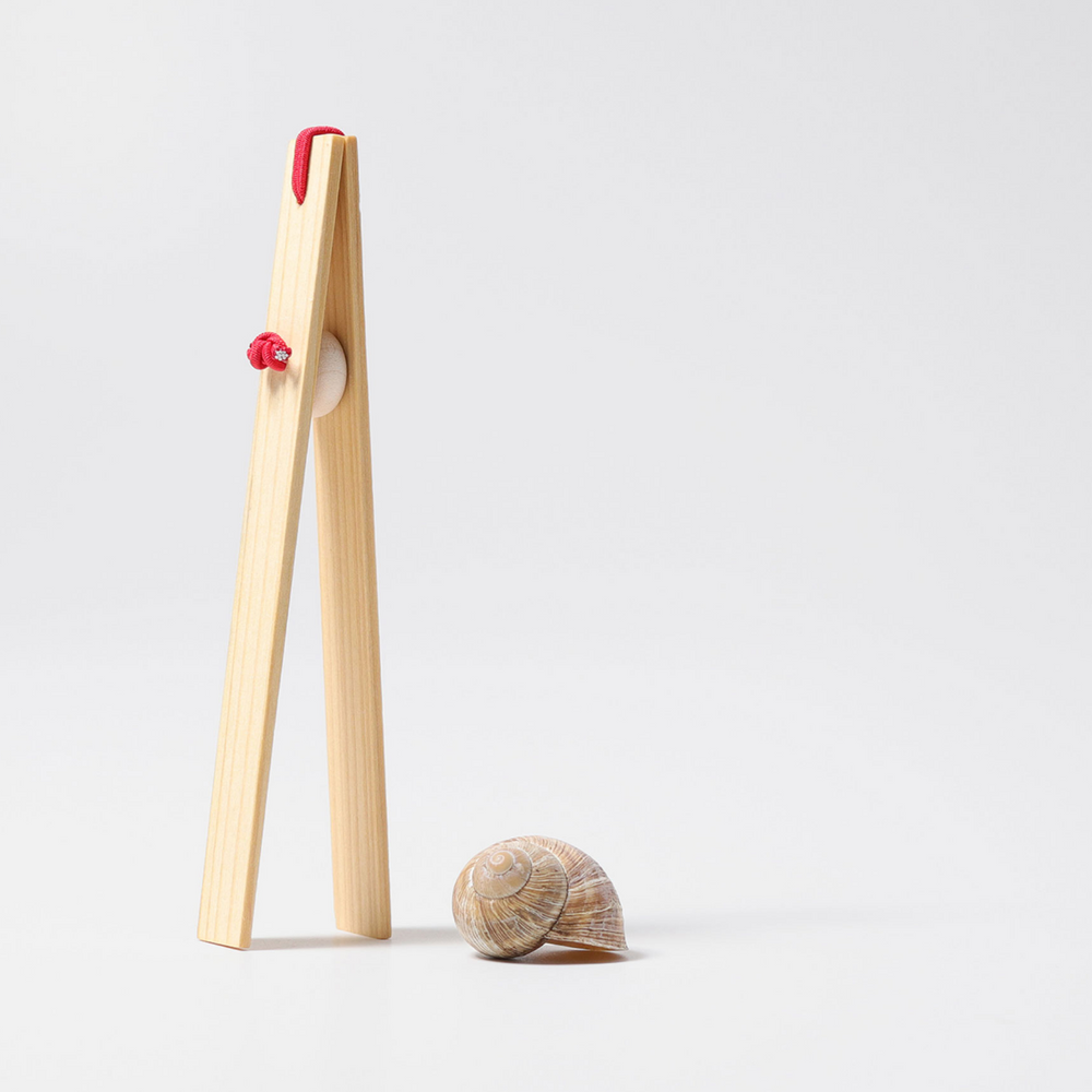 GRIMM'S 12er Sortierhilfe im Set mit Holzpinzette und Holzperlen Grimms