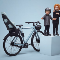THULE Fahrradsitz Yepp 2 Maxi - Rahmen-Montage (Copy) Thule